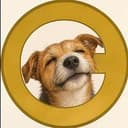 DOGE