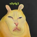 v0y4g3