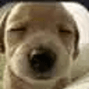 Benny