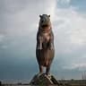 Hippo