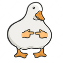ducki