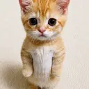 GATO