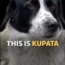 KUPATA