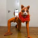 MetaMasK
