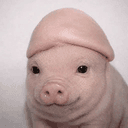 pih