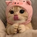 NEKO