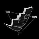 proton
