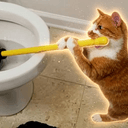 PlumberCat