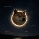 moondoge