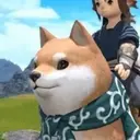 Megashiba