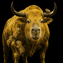 YELLCAPY