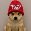 wiftrump