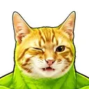 CATI