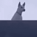 KRYPTO