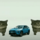 Toyot