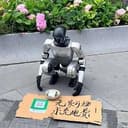 机乞人