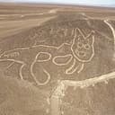 GIGACAT
