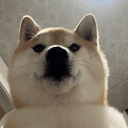 そらまめ