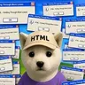HTML
