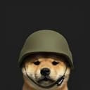 PFP