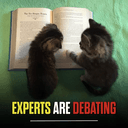 EXPERTS