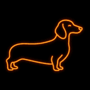 wiener