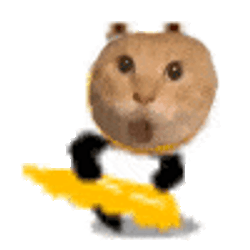 耄耋猫