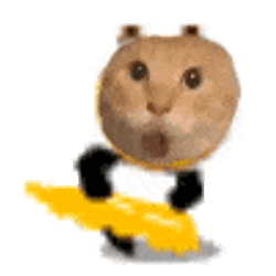 耄耋猫