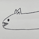 ネコザメ