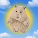 Hamunigiri
