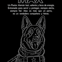 maxdog