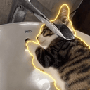 plumbercat