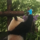 钱义