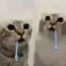 DROOLER