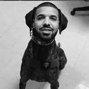 K9
