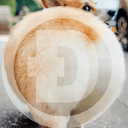 CORGI