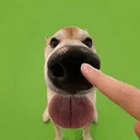 boop