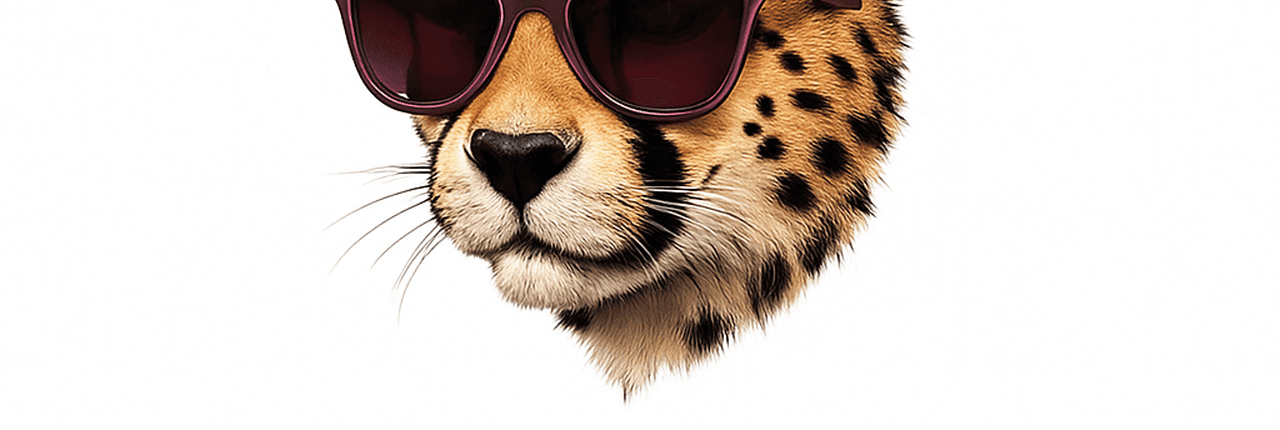 Aitafly Banner