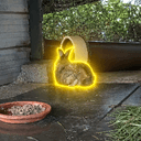 Feed Them