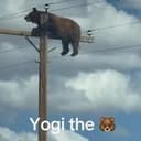 Yogi