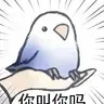 你叫你吗