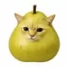 Peared