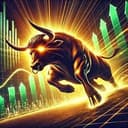 BULLRUN