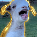 Goaties