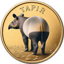 TAPIR