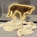 SOL