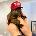 PTrump