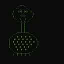 weevil