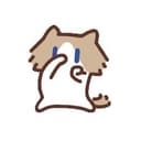 月薪喵