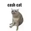 CASHCAT